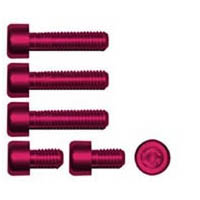 Gas cap screw kit Color Red | ID GTBK201R