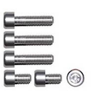 Gas cap screw kit Color Silver | ID GTBK201S