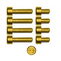 Gas cap screw kit Color Gold | ID GTBK301G