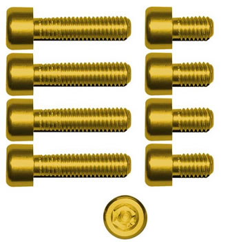 Gas cap screw kit Color Gold | ID GTBK301G