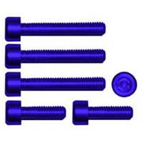 Gas cap screw kit Color Blue | ID GTBK401BU