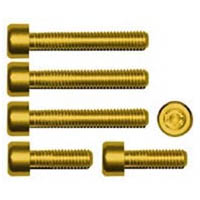 Gas cap screw kit Color Gold | ID GTBK401G