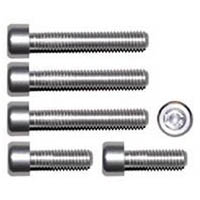 Gas cap screw kit Color Silver | ID GTBK401S