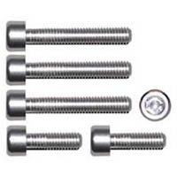 Gas cap screw kit Color Chrome | ID GTBK801CH