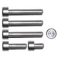 Gas cap screw kit Color Silver | ID GTBK801S