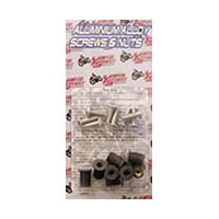 Windscreen screw kit Color Silver Style OEM replacement | ID YNSKWS1120